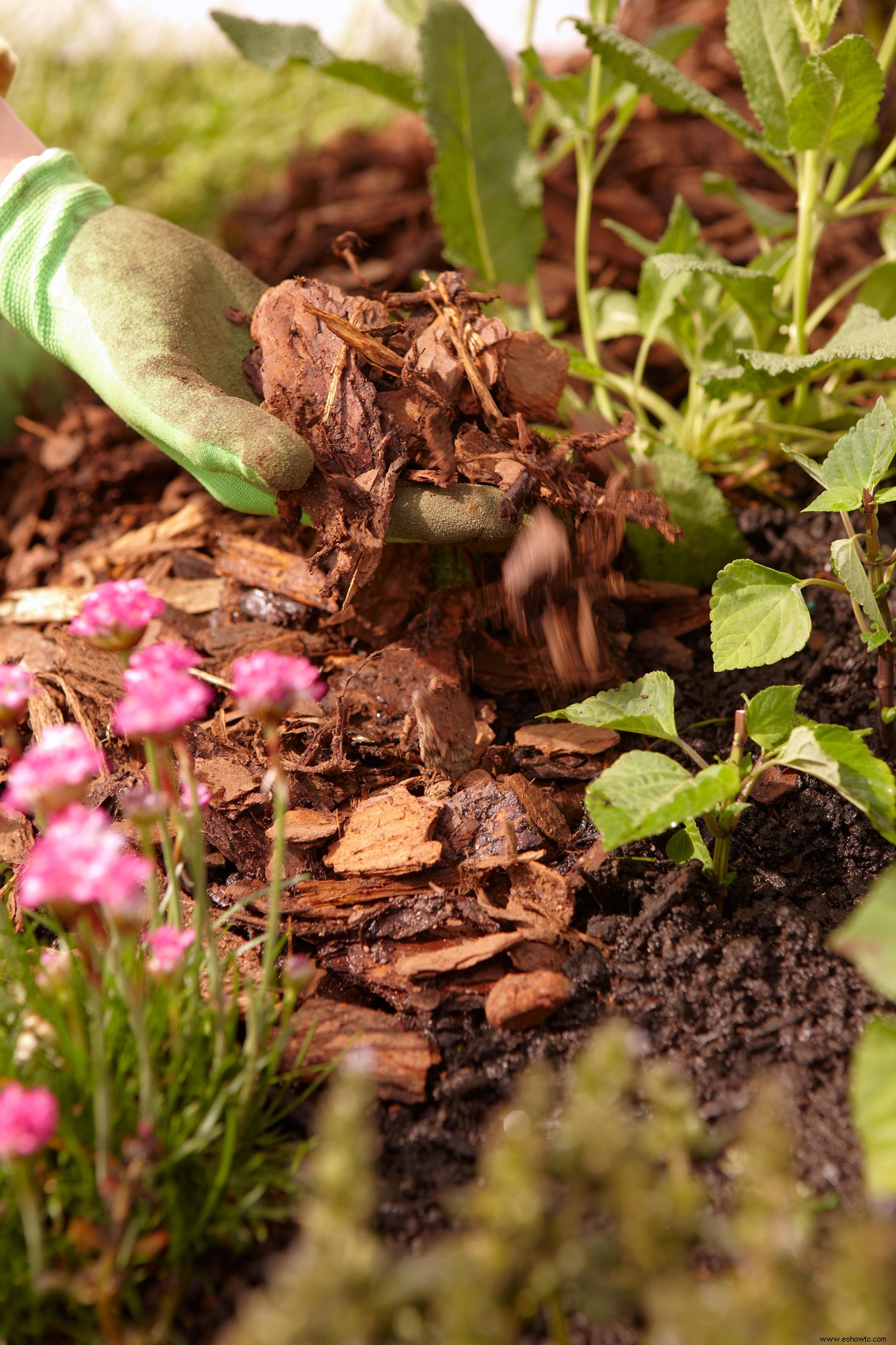 5 maneras fáciles de preparar todas las plantas de su jardín para el clima invernal 
