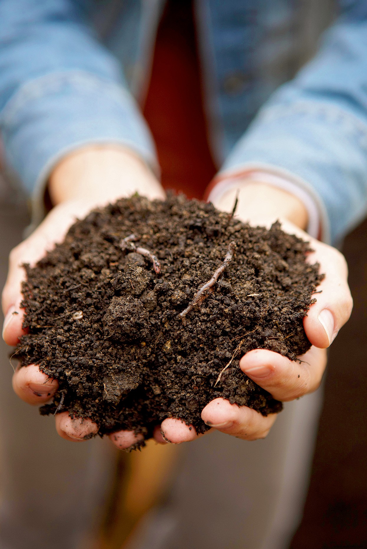 Lo que necesita saber sobre el uso de tierra vegetal para hacer que su jardín prospere 