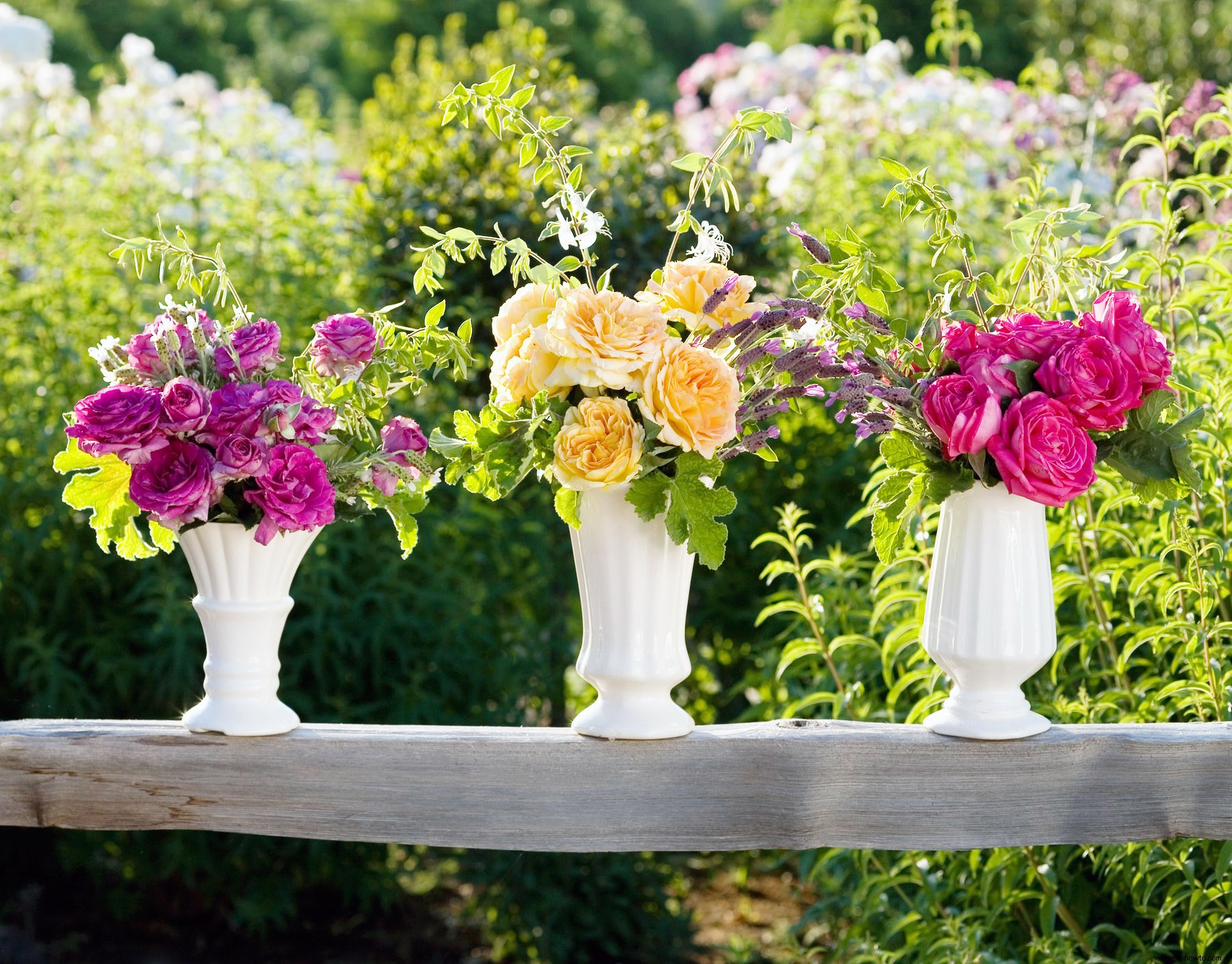 5 pasos para crear un hermoso jardín de corte (además de cómo aprovechar al máximo sus flores) 