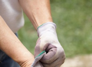 Guía Definitiva para Elegir Guantes de Jardinería: Protege Tus Manos con Expertos Consejos