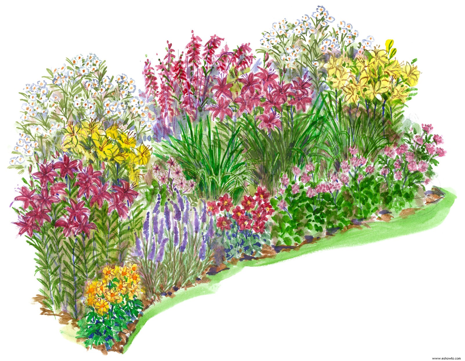 Este plan de jardín amante del calor está lleno de plantas que prosperarán bajo el sol caliente 