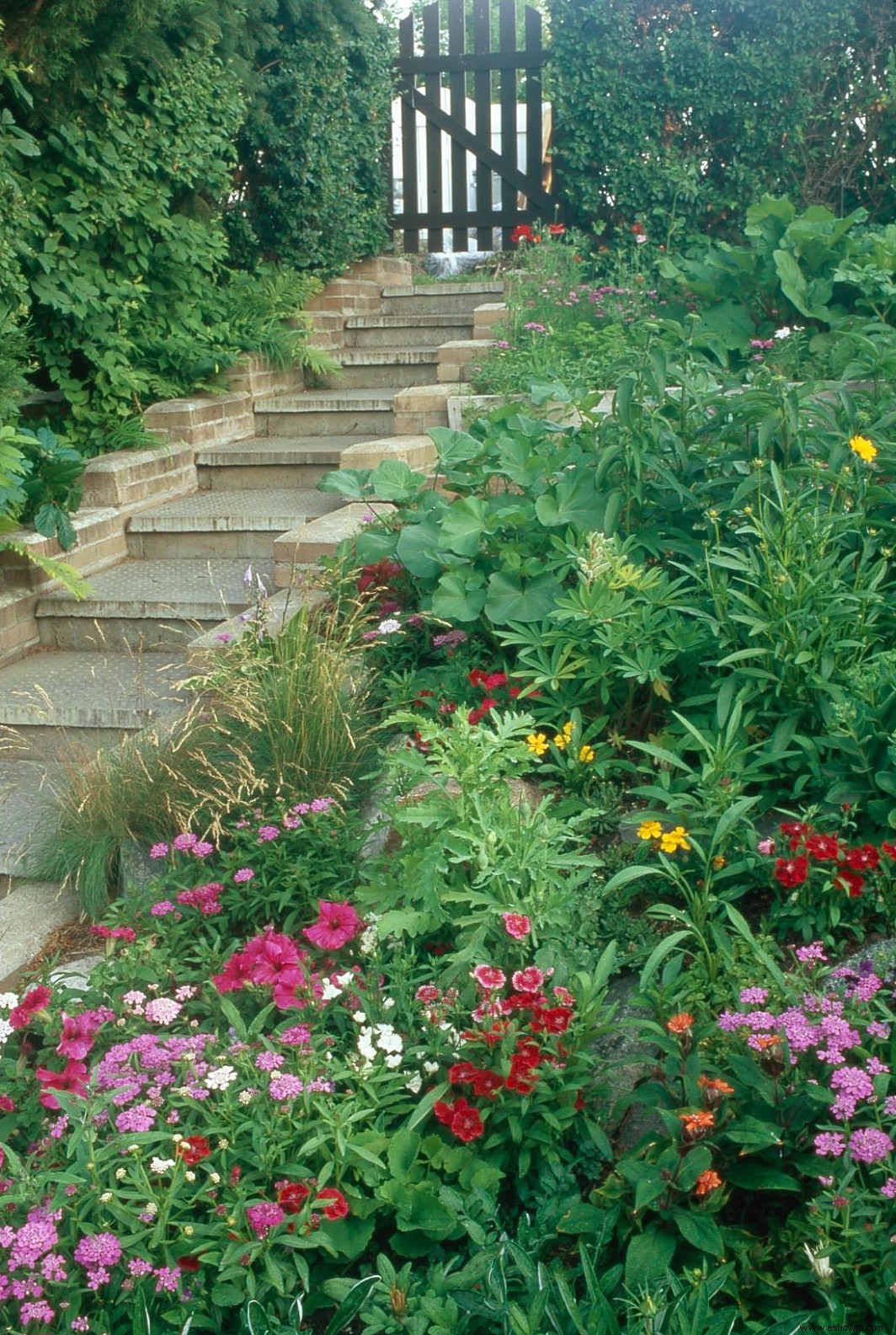 Agregue un color magnífico a una ladera y detenga la erosión con este plan de jardín de fácil pendiente 
