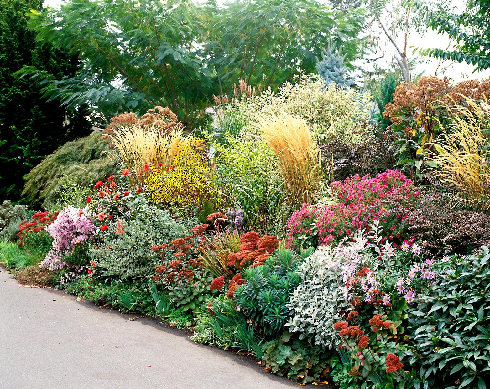 Este plan de jardín con poca agua se verá hermoso a través de la sequía y el calor 