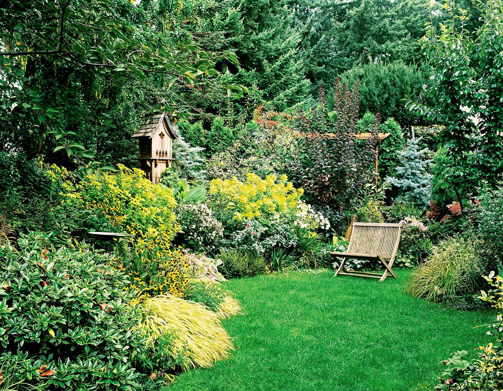 Su jardín siempre se verá hermoso con este emocionante plan de jardín durante todo el año 