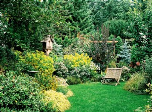 Plan de jardín con follaje: belleza y color todo el año para tu espacio exterior