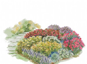 Plan de Jardín Otoñal Vibrante: Colores Brillantes Toda la Temporada