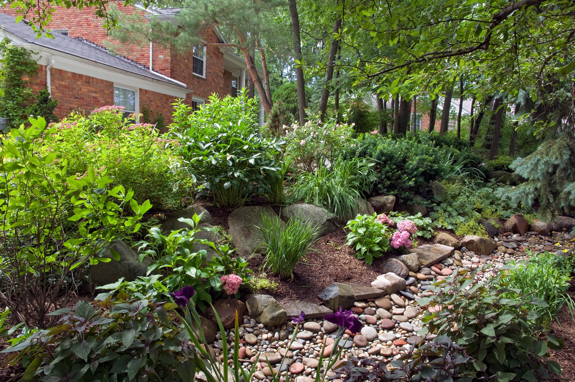 Cómo hacer un jardín de lluvia simple para resolver problemas de aguas pluviales 