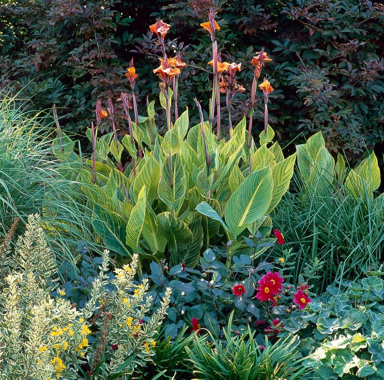 Cómo hacer un jardín de lluvia simple para resolver problemas de aguas pluviales 