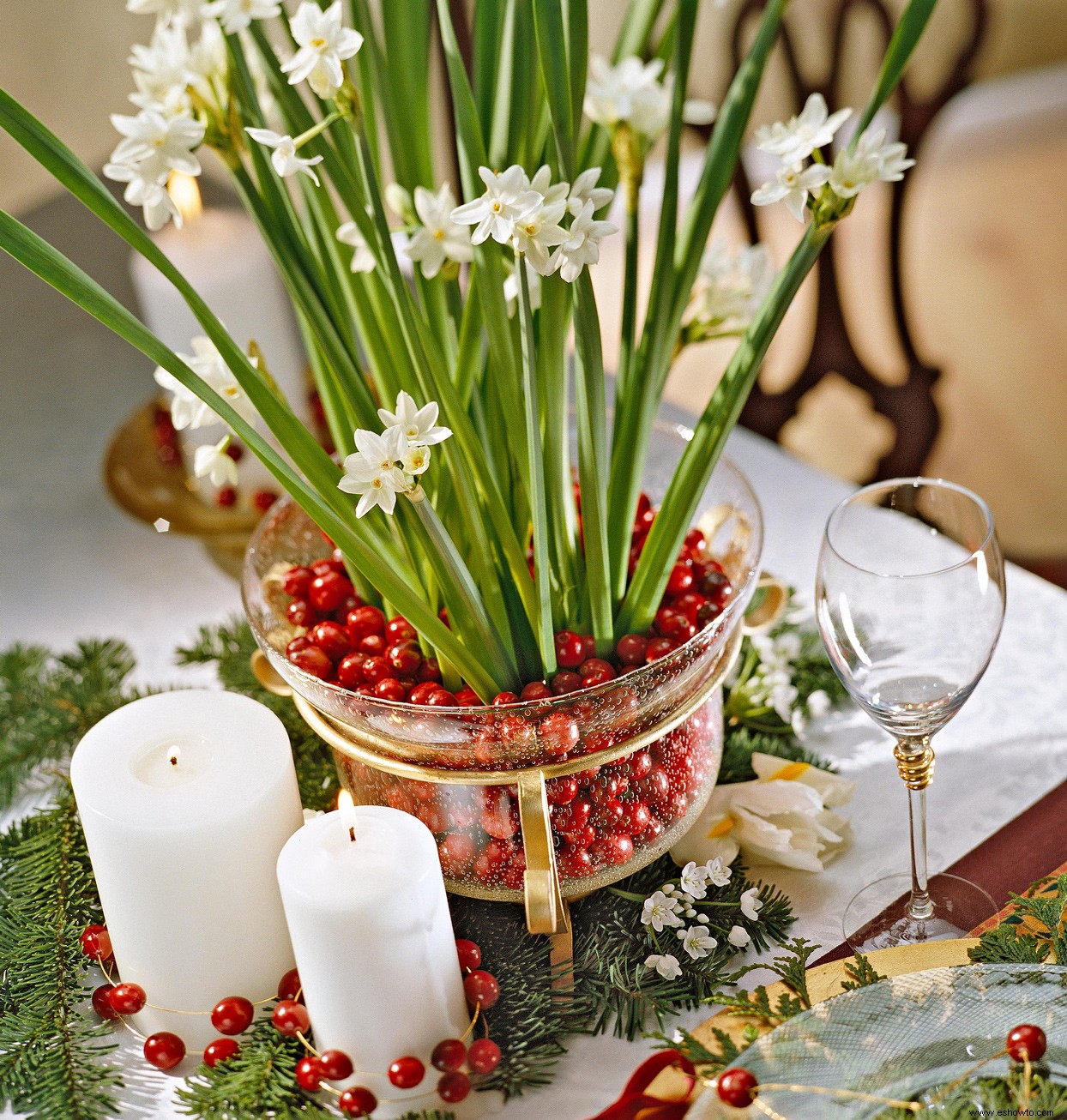 Cómo cultivar Paperwhites para llenar tu hogar con flores fragantes este invierno 