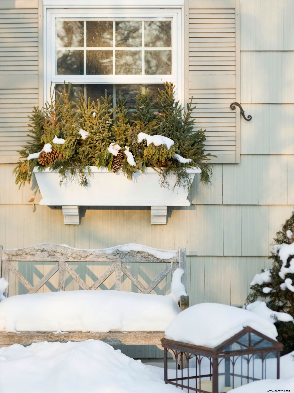 10 delicias del jardín de invierno 