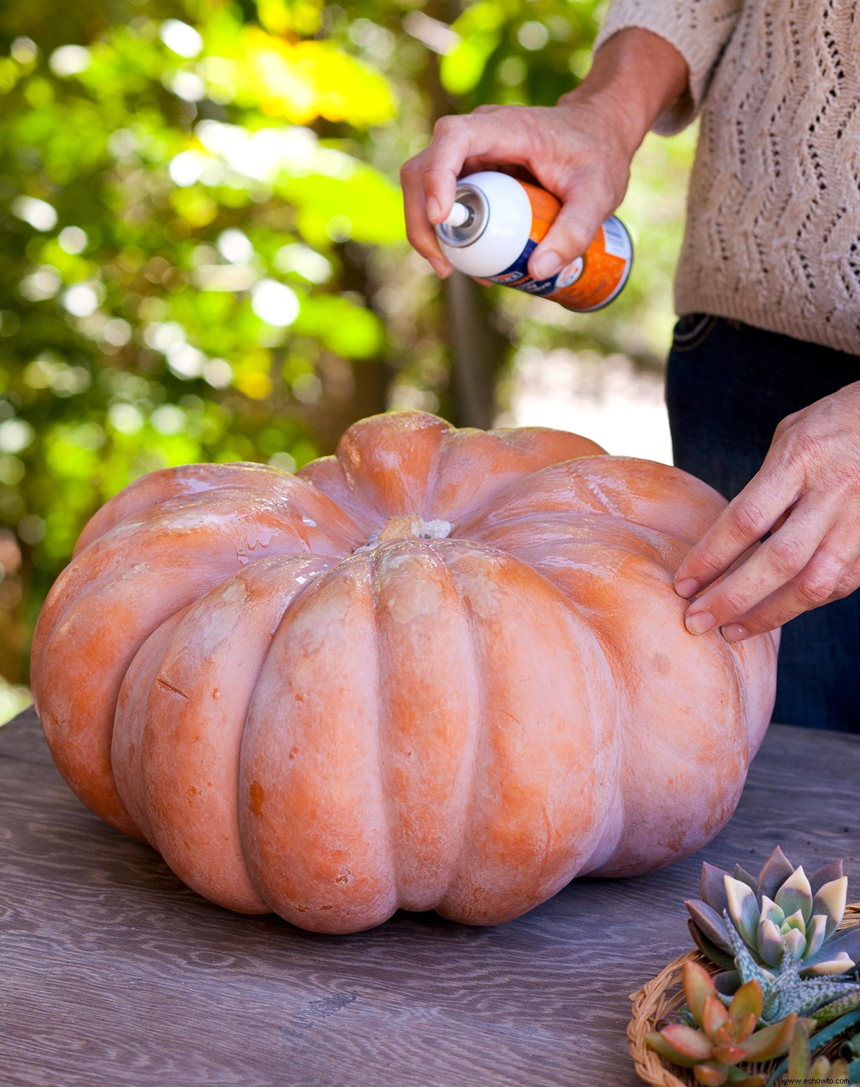 Cree una pieza central de calabaza suculenta de bricolaje para mostrar perfectamente los colores del otoño 