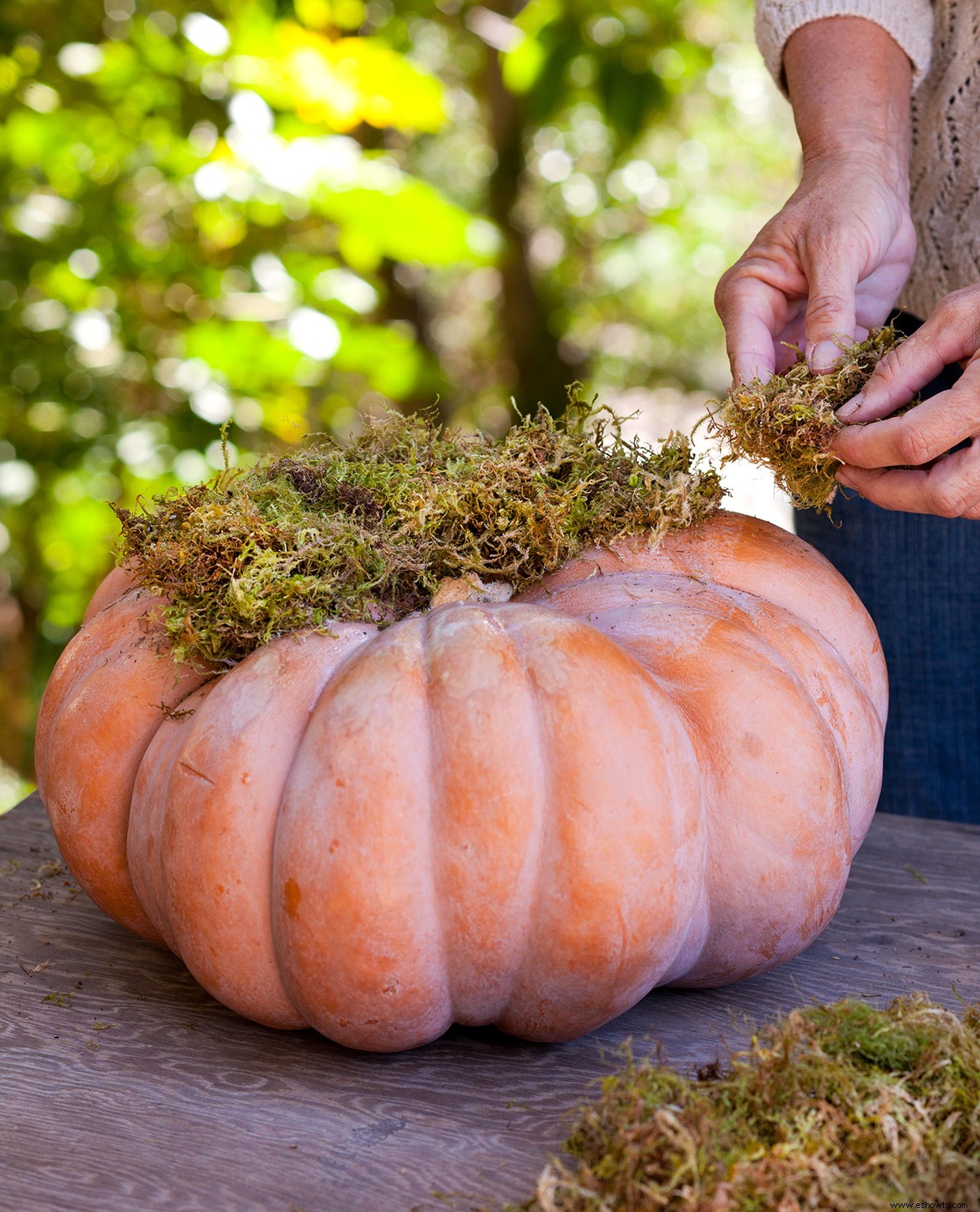 Cree una pieza central de calabaza suculenta de bricolaje para mostrar perfectamente los colores del otoño 