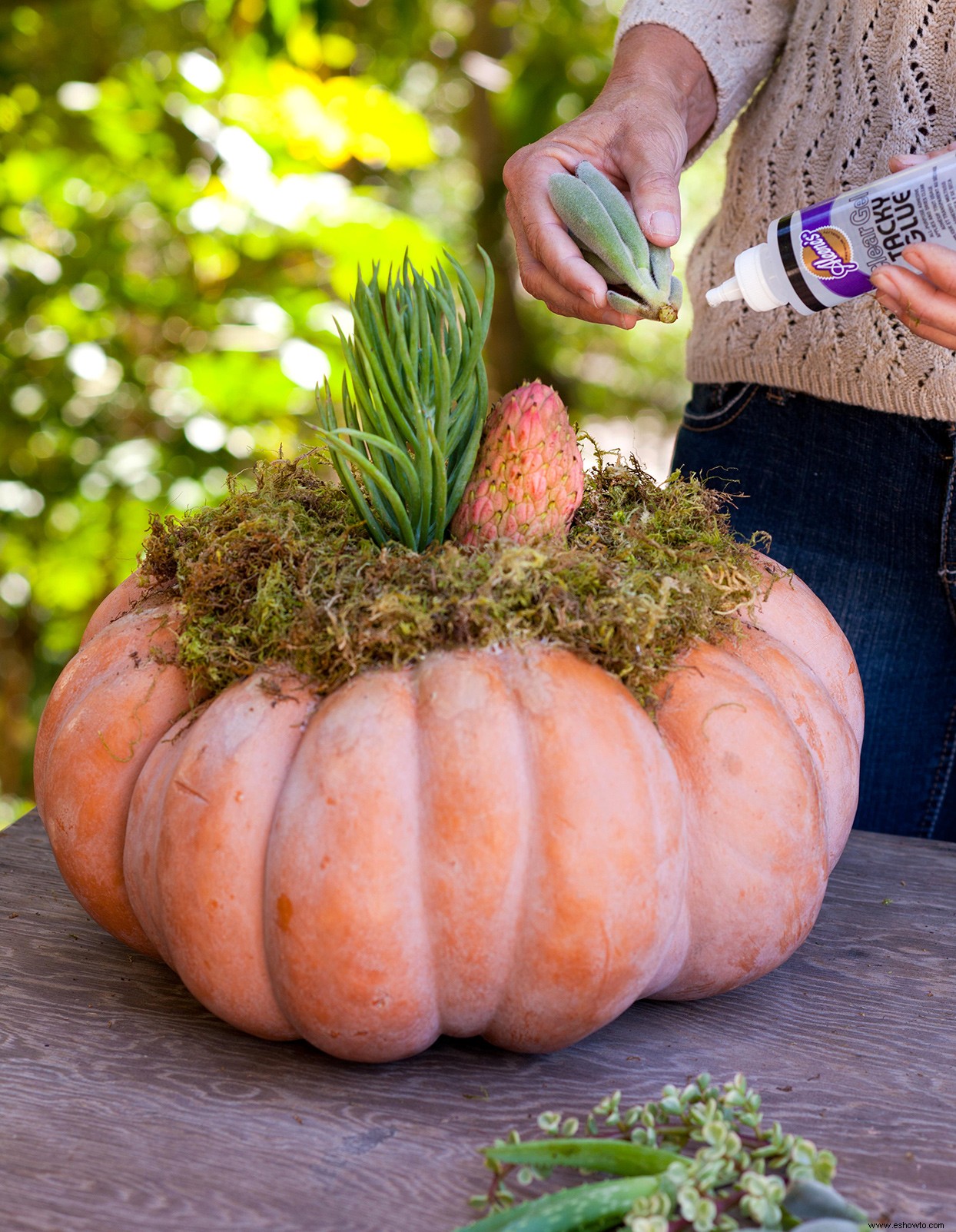 Cree una pieza central de calabaza suculenta de bricolaje para mostrar perfectamente los colores del otoño 