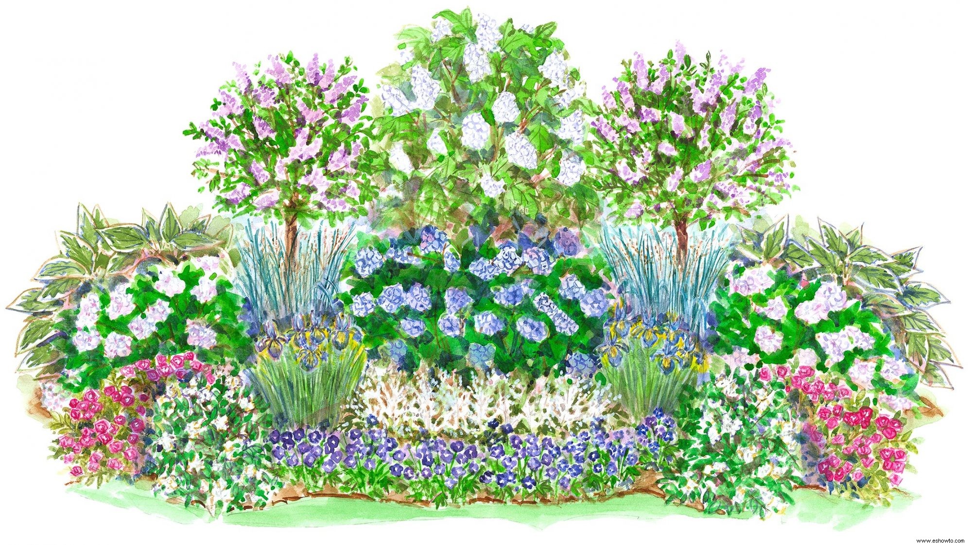 Los arbustos en flor roban el espectáculo en este plan de jardín de sombra que florece en verano y es fácil de cuidar 