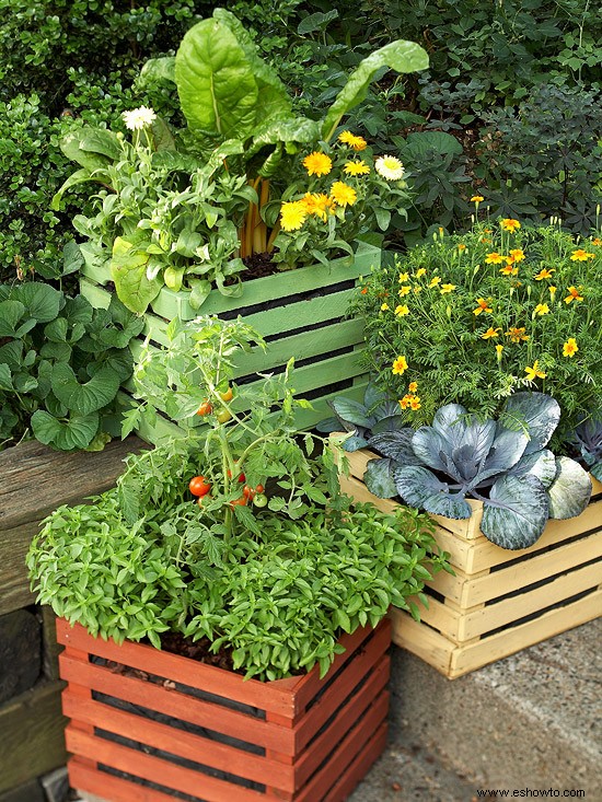 Consejos de jardinería de agosto para el Medio Oeste 