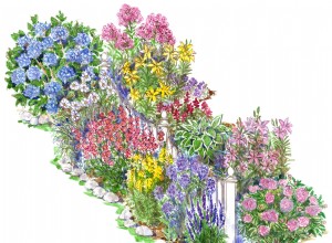 Plan de Jardín Cottage Inglés para el Patio Delantero: Crea un Exterior Impresionante y Colorido