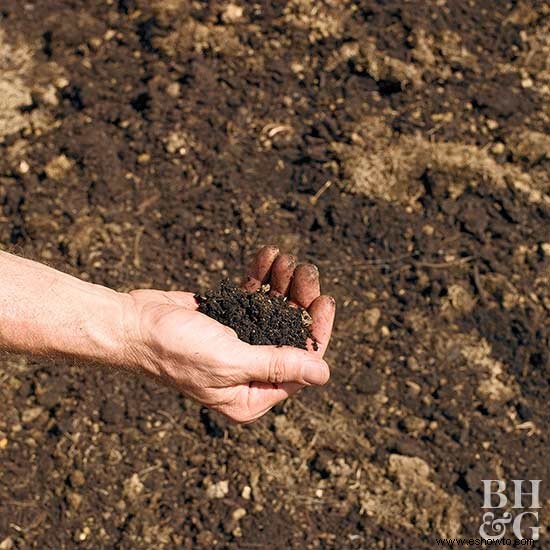 Ideas de paisajismo ecológico para hacer que su jardín sea respetuoso con el medio ambiente 