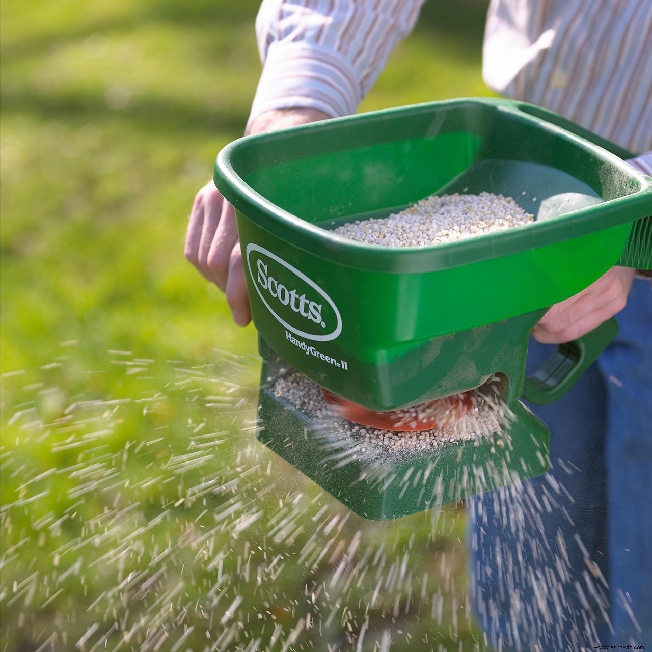 6 errores en el cuidado del césped que debe dejar de cometer para tener un césped más saludable 