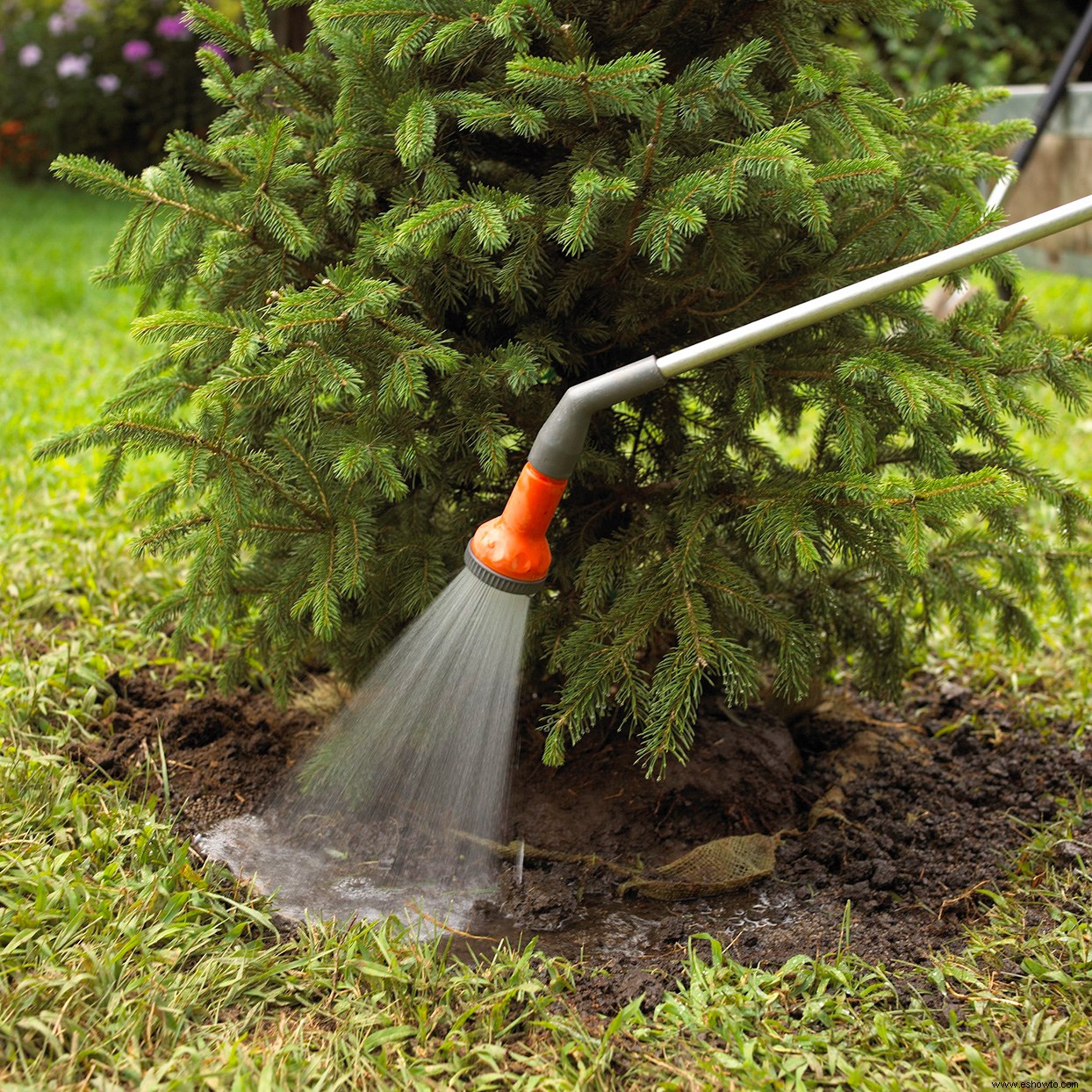 Siga esta lista de verificación de jardín de otoño para preparar su jardín para el invierno 