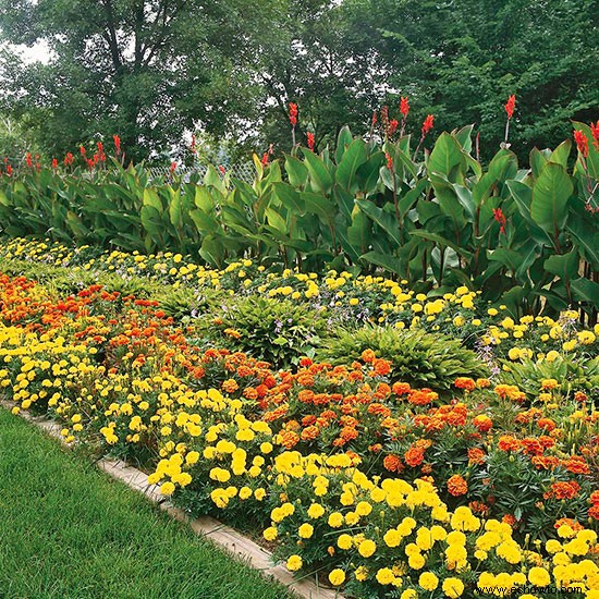 Cómo diseñar un jardín por altura de planta 