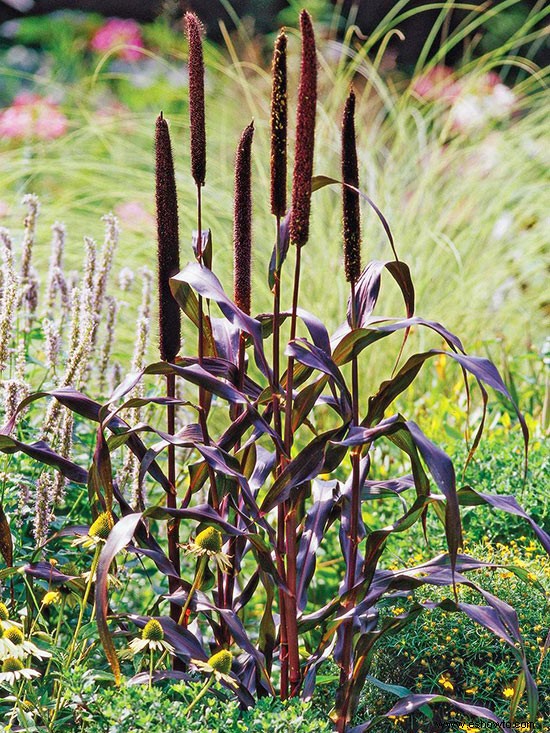 Cómo diseñar un jardín por altura de planta 