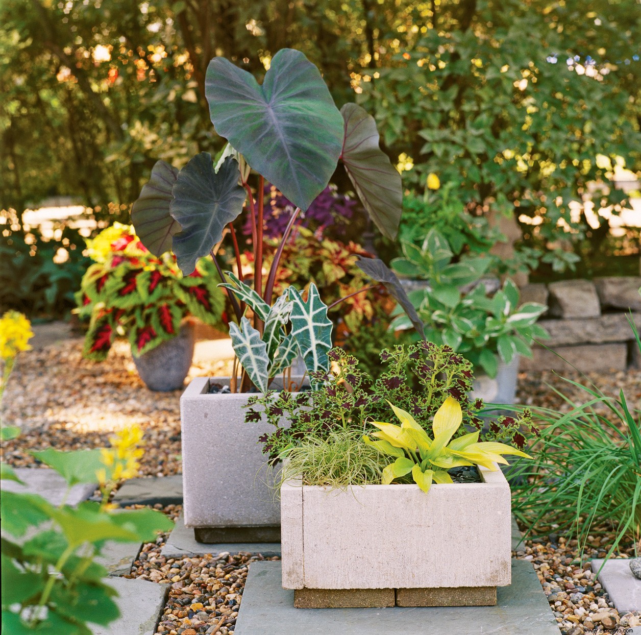 Fácil jardinera de pavimentadora de bricolaje de 4 pasos 