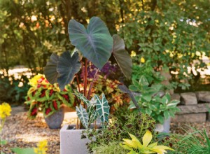 Fácil jardinera de pavimentadora de bricolaje de 4 pasos 