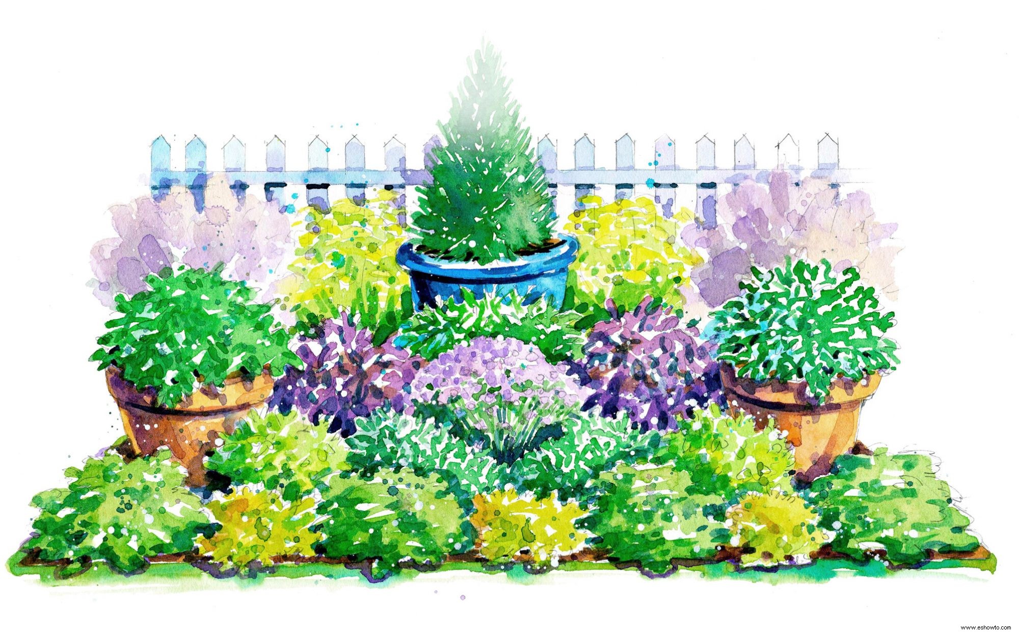 Este colorido jardín de hierbas iluminará su jardín y su plato 