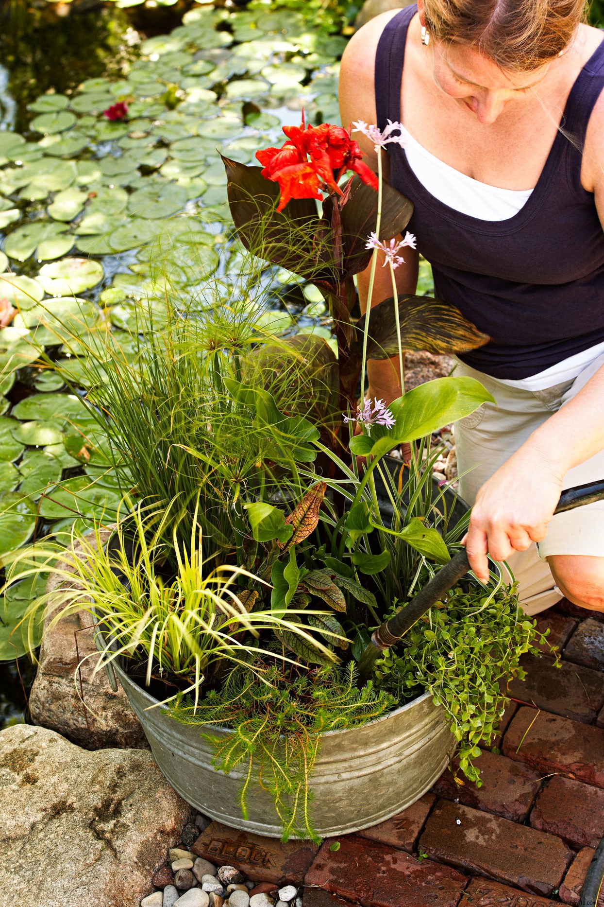 Jardín de contenedores de agua 