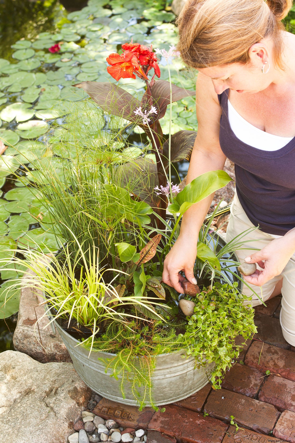 Jardín de contenedores de agua 