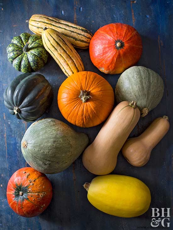 Todo sobre la calabaza de invierno 