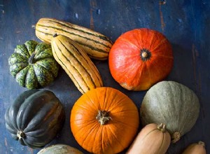 Guía Completa sobre Calabazas de Invierno: Variedades, Cultivo y Consejos Expertos