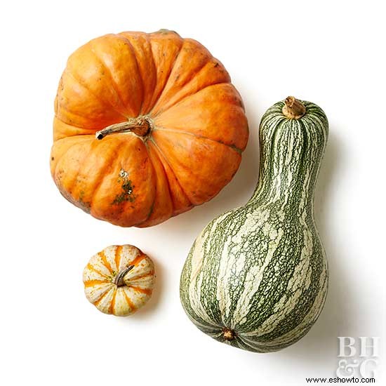 Todo sobre la calabaza de invierno 