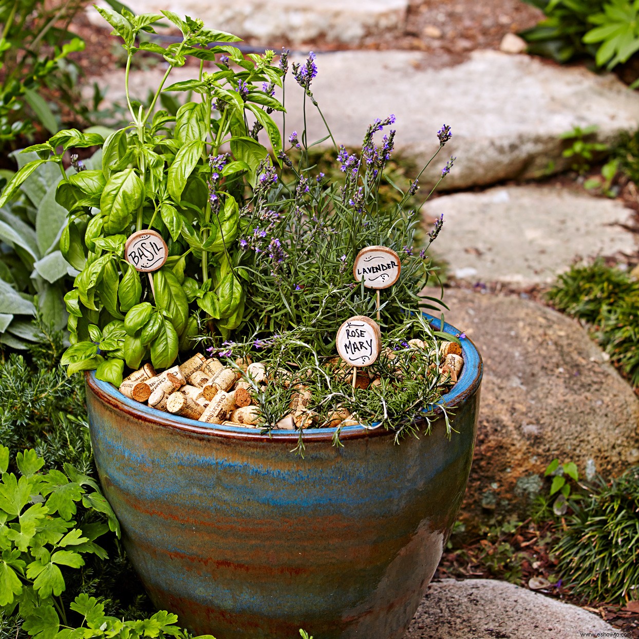 Crea un lindo jardín de cócteles en un recipiente para darle sabor a tus bebidas de verano 