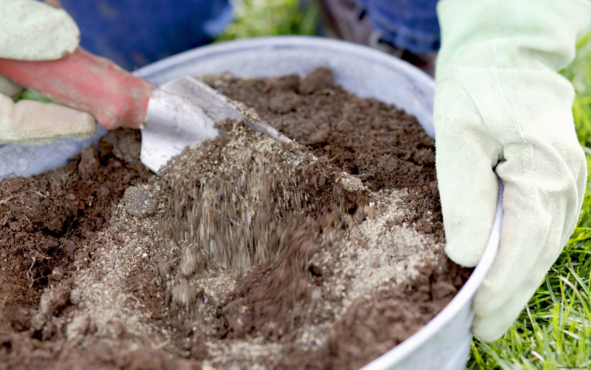 Por qué el nitrógeno, el fósforo y el potasio son tan importantes para sus plantas 