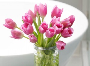 Cómo Cortar Tulipanes para que Duren Más Tiempo en el Florero: Guía Experta