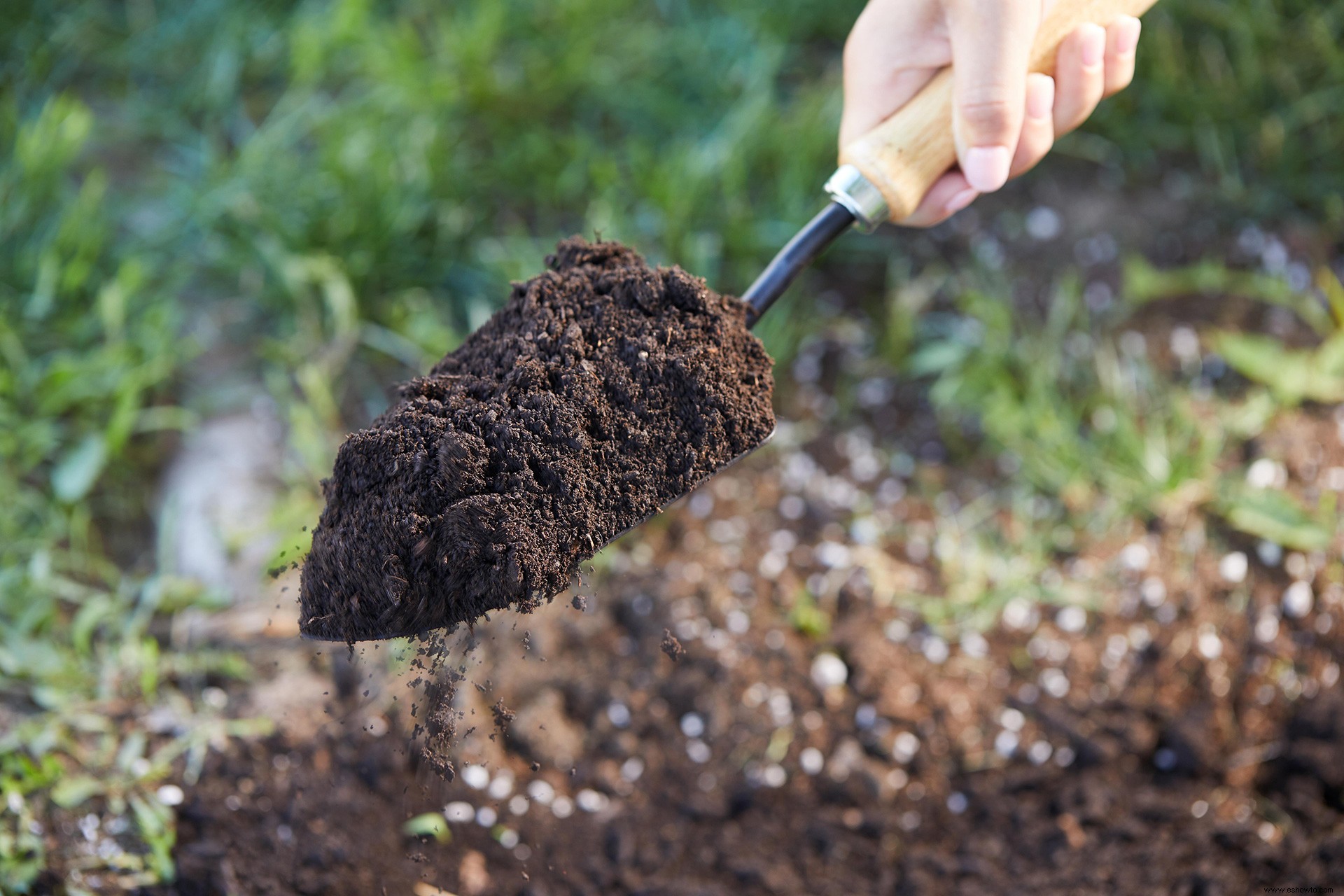 ¿Qué es un suelo bien drenado y cómo aumentar el drenaje para ayudar a que sus plantas prosperen? 