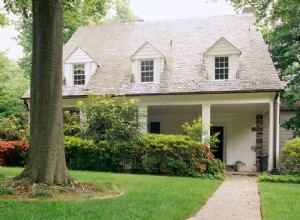 ¿Qué es el polvo naranja en mi césped? Identifica y trata el óxido naranja