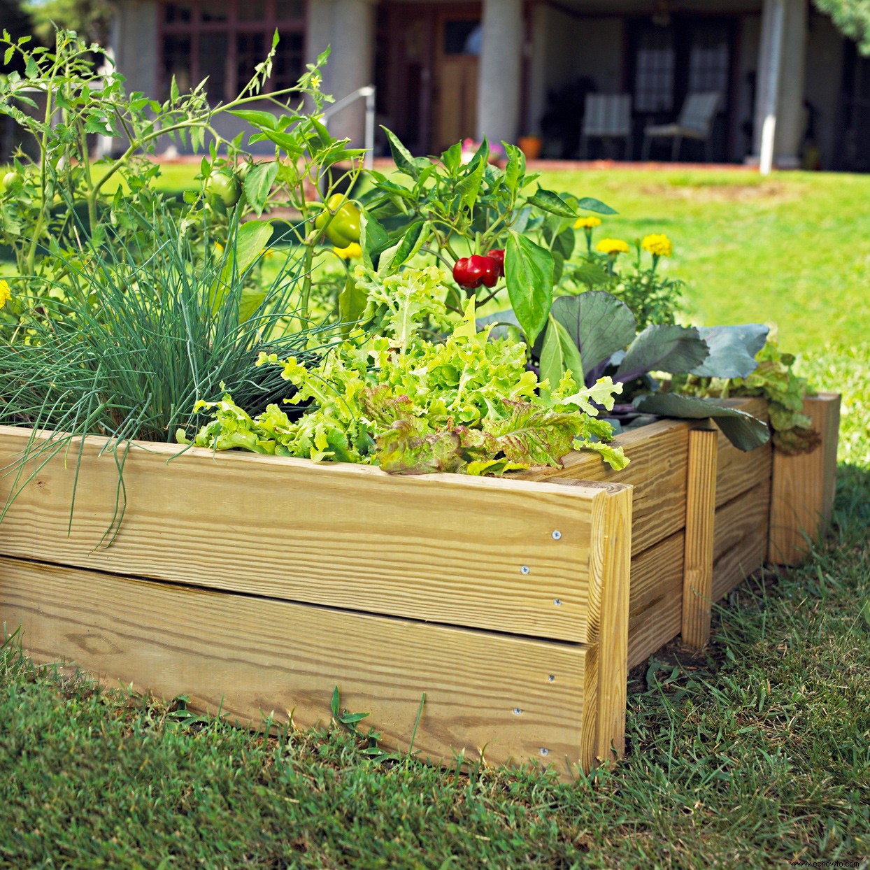 Cómo construir una cama de jardín elevada para cultivar verduras y flores 