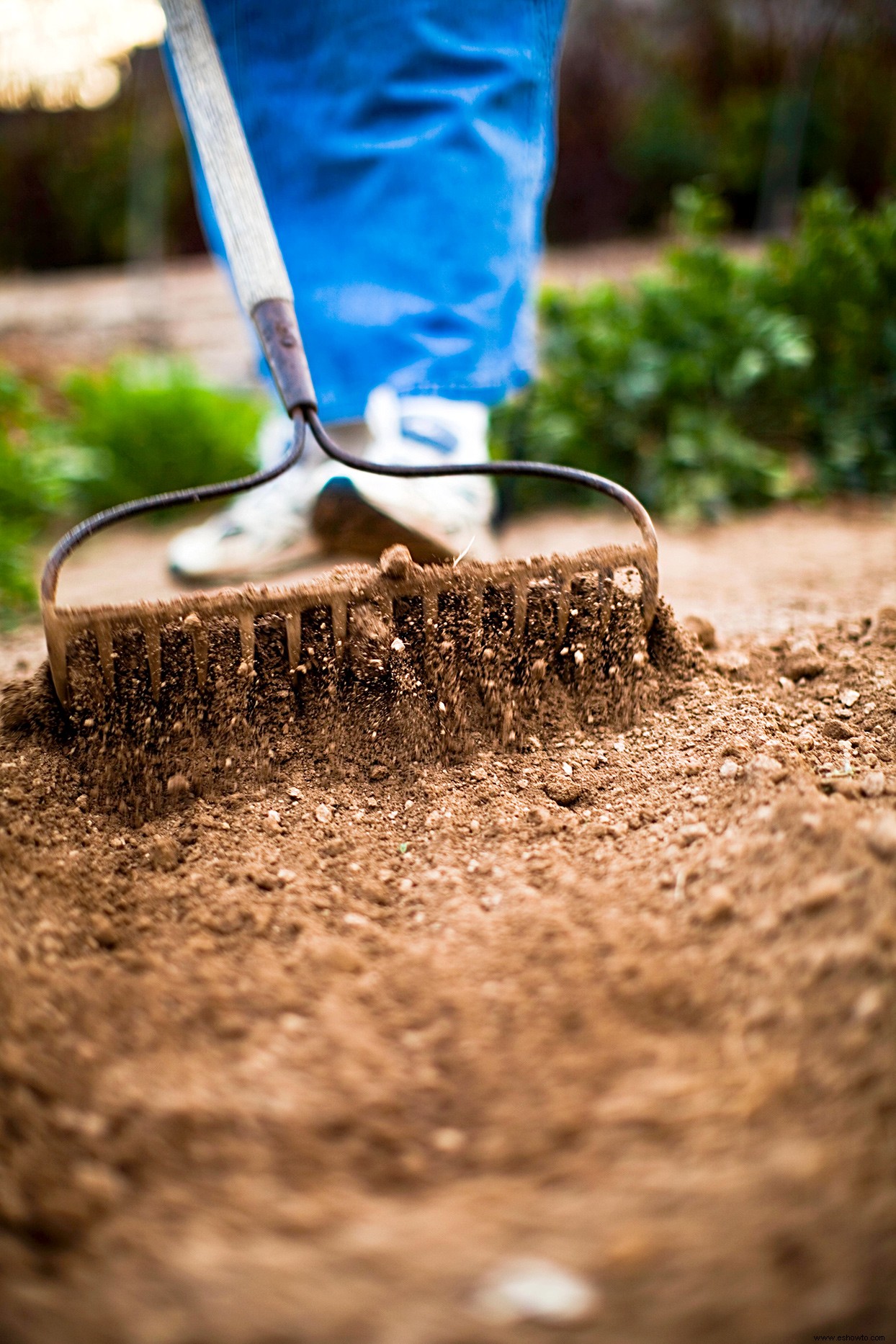 Siga estos 10 pasos esenciales para comenzar bien su primer jardín 