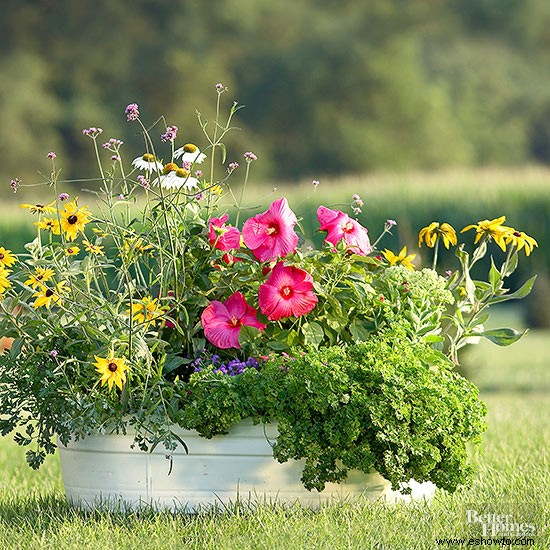 Estas plantas en contenedores amigables con los polinizadores son perfectas para un balcón 