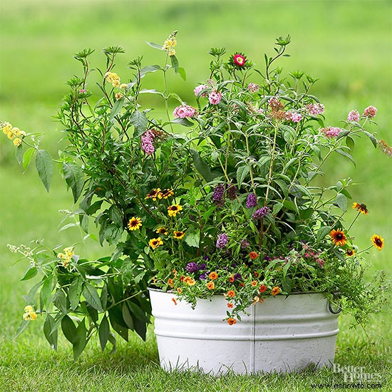 Estas plantas en contenedores amigables con los polinizadores son perfectas para un balcón 