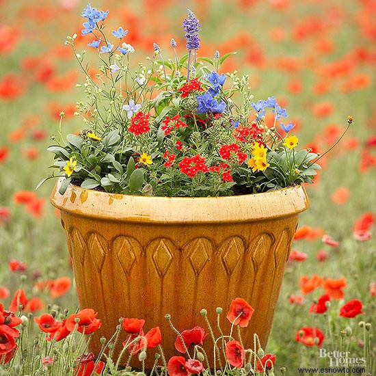 Estas plantas en contenedores amigables con los polinizadores son perfectas para un balcón 