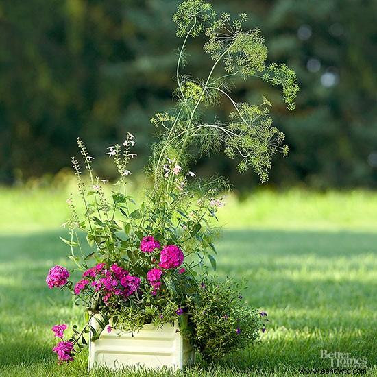 Estas plantas en contenedores amigables con los polinizadores son perfectas para un balcón 