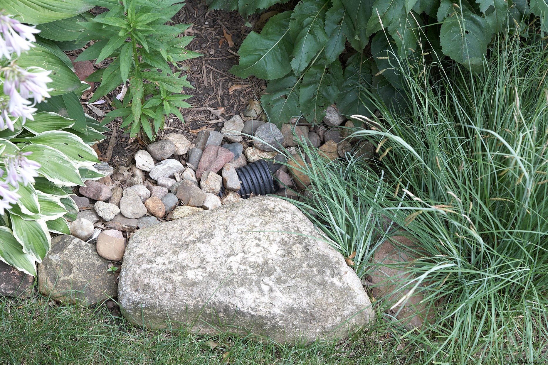 5 soluciones inteligentes para lidiar con el drenaje deficiente en su jardín 