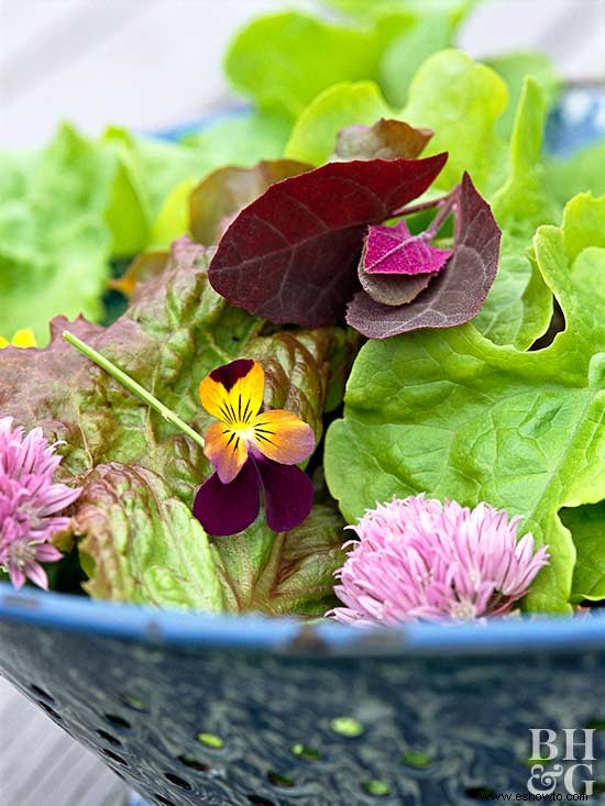 Flores comestibles casi demasiado bonitas para comer 