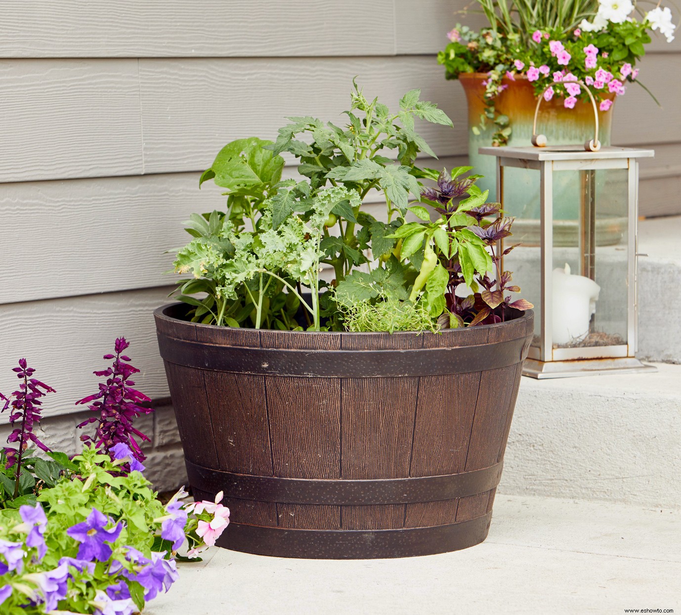 Cómo cultivar verduras en contenedores para un jardín abundante 