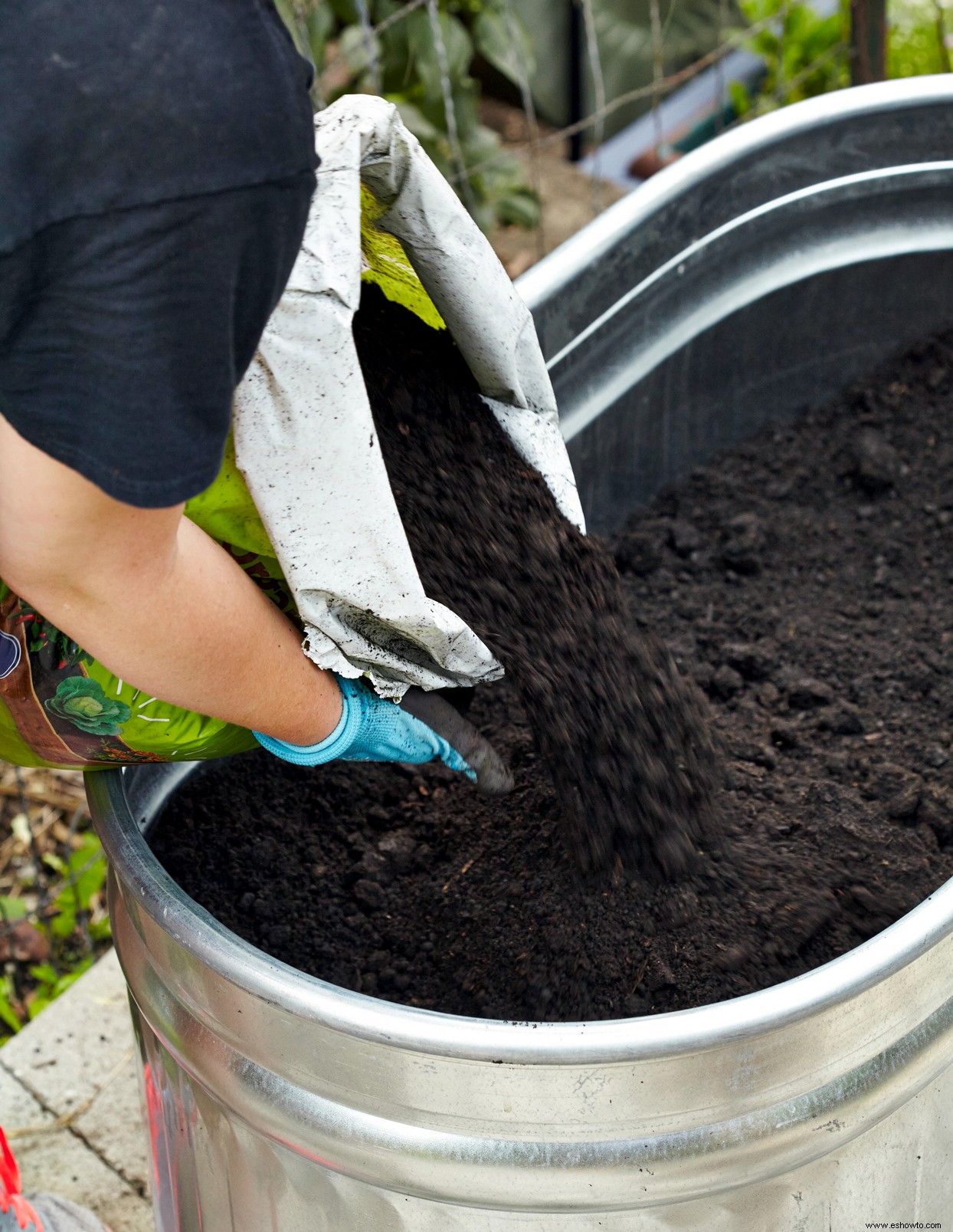 Cómo cultivar verduras en contenedores para un jardín abundante 