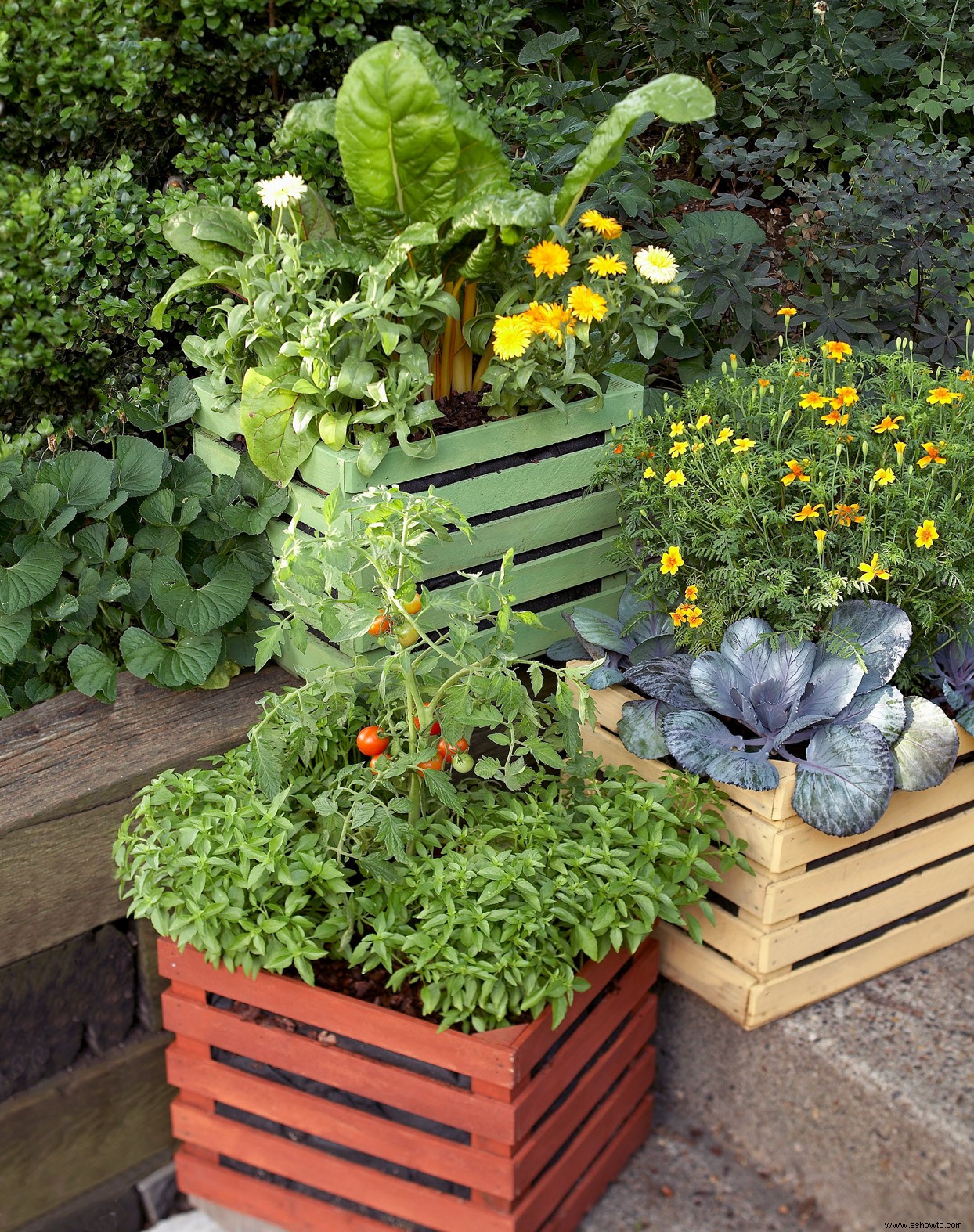 Cómo cultivar verduras en contenedores para un jardín abundante 