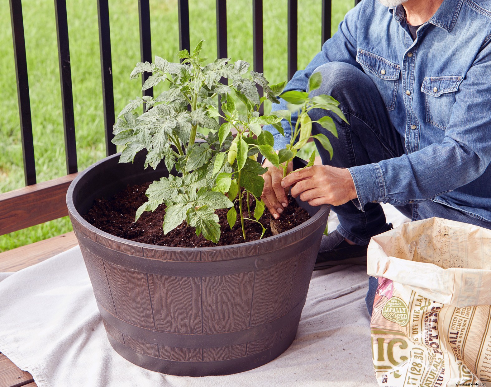 Cómo cultivar verduras en contenedores para un jardín abundante 